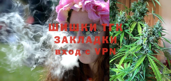 бошки Ладушкин