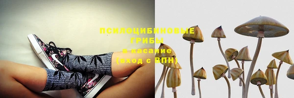 тгк Лиски