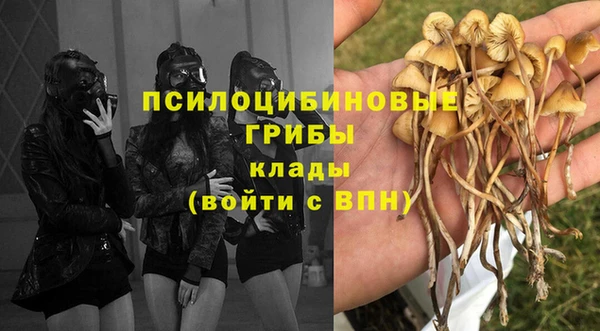 гидропоника Липки
