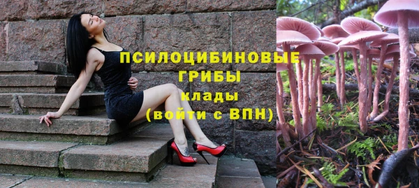 тгк Лиски