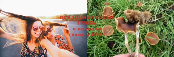 гашишное масло Лихославль