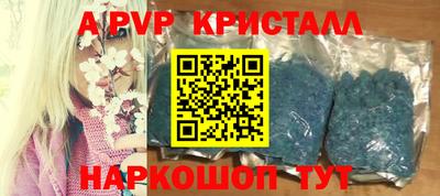 спиды Бийск