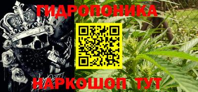 спиды Бийск