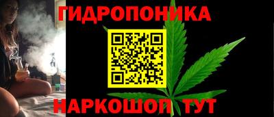 гидра Беслан