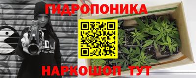 спиды Бийск