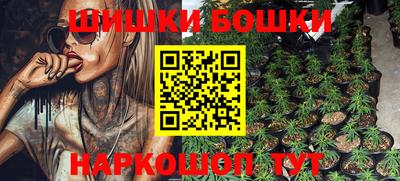 гидра Беслан