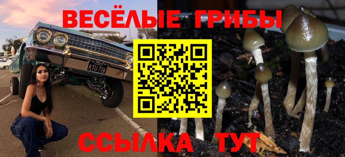 Галлюциногенные грибы мицелий Воткинск