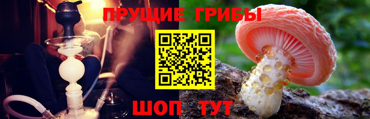 Галлюциногенные грибы Magic Shrooms  Галлюциногенные грибы MAGIC MUSHROOMS  Воткинск 